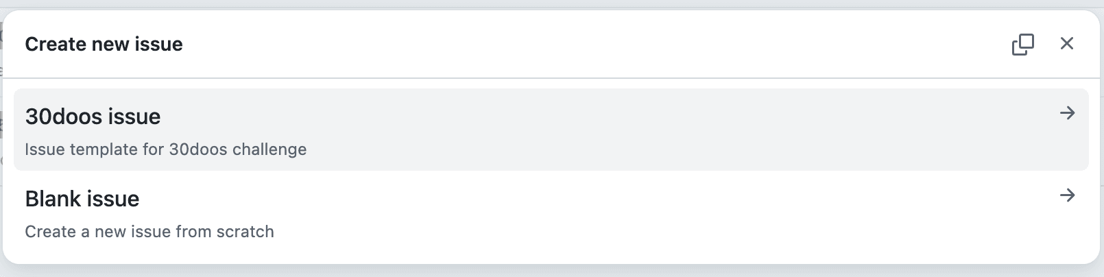 Screenshot of an issue template on GitHub