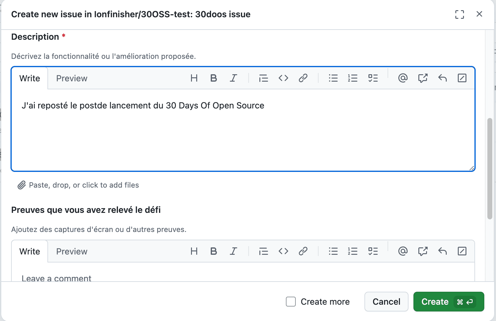 Screenshot of an issue template on GitHub